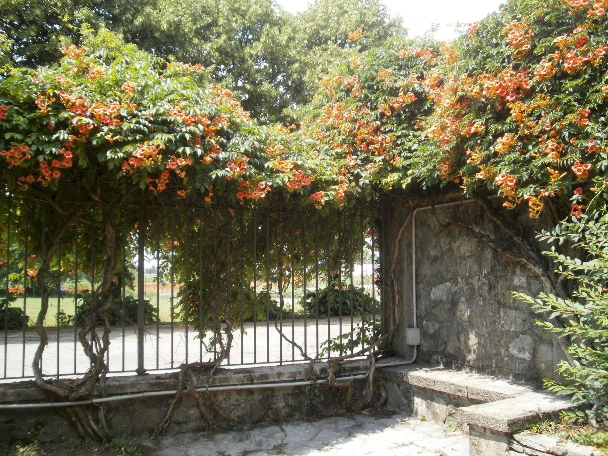Albergo Villa & Roma Pallazzolo sull'Oglio Luaran gambar
